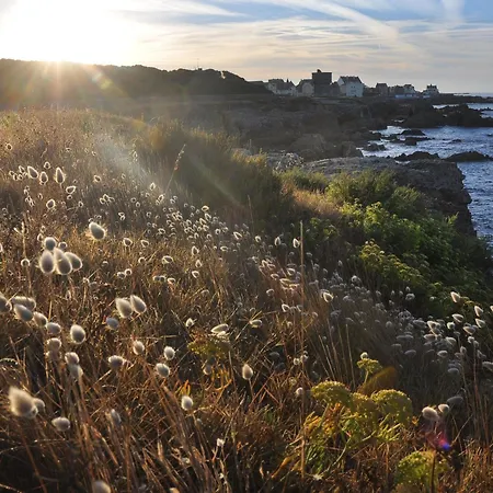 Face A La Avec Loggia, Cour, Wifi Et Barbecue - - Fr-1-306-844 * Piriac-sur-Mer