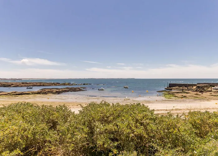 Face A La Avec Loggia, Cour, Wifi Et Barbecue - - Fr-1-306-844