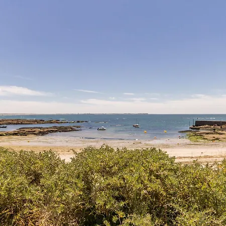 Face A La Avec Loggia, Cour, Wifi Et Barbecue - - Fr-1-306-844