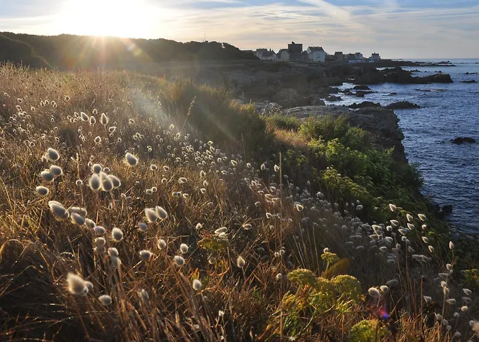 Face A La Avec Loggia, Cour, Wifi Et Barbecue - - Fr-1-306-844 * Piriac-sur-Mer